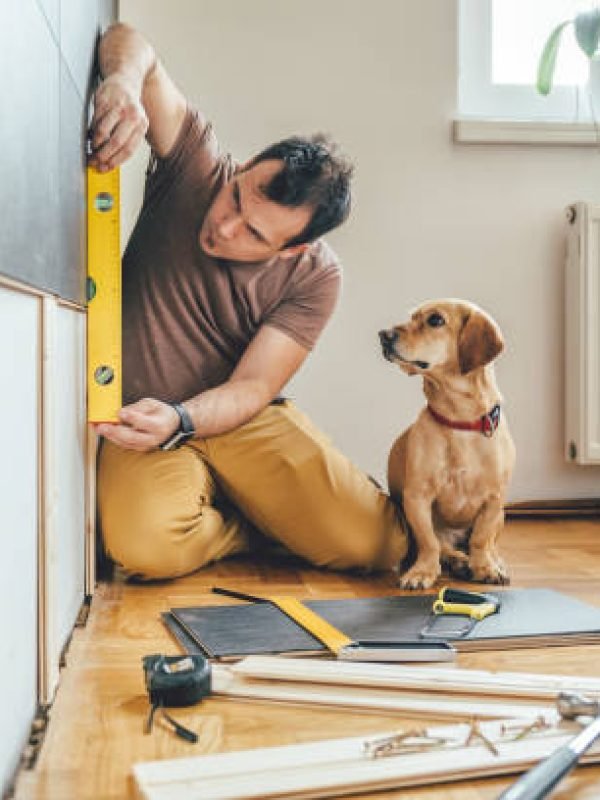 Man doing renovation work at home together with his small yellow dog
